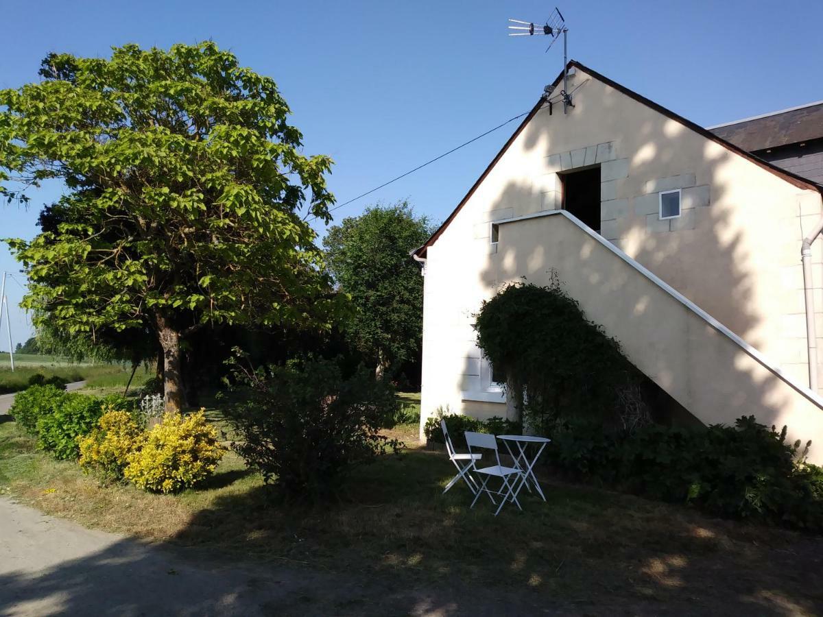 Les Hautes Mougonnieres Neuil Bagian luar foto
